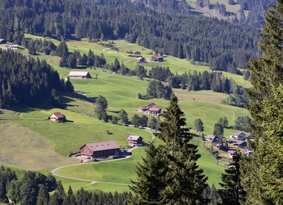 Schwyz